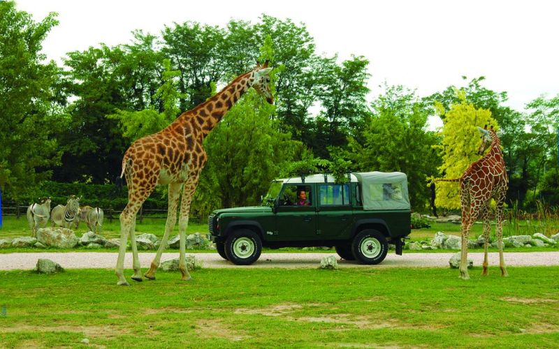 Parco Natura Viva - Bussolengo