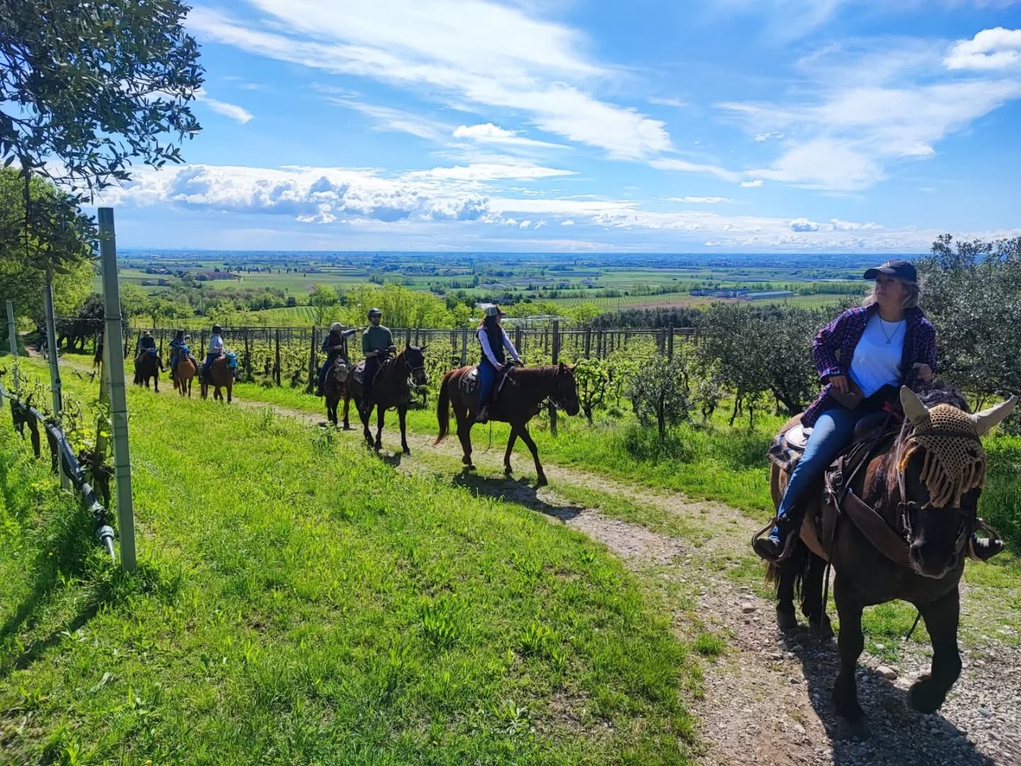 Escursioni a cavallo sulle colline di Custoza