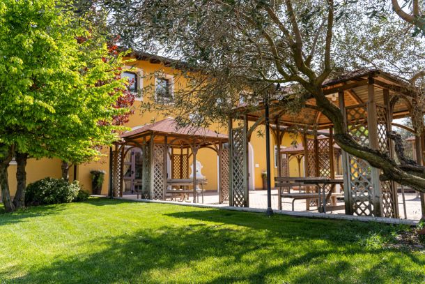 Outdoor garden and gazebo